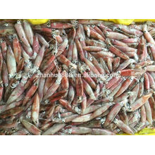 High quality sea frozen baby squid, loligo chinensis